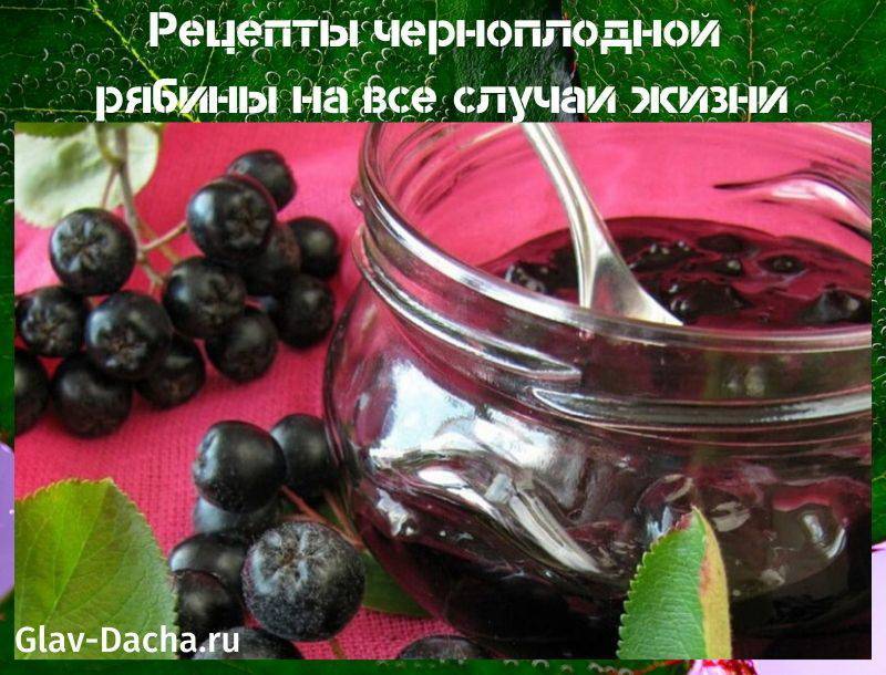 Рецепты черноплодной рябины на все случаи жизни