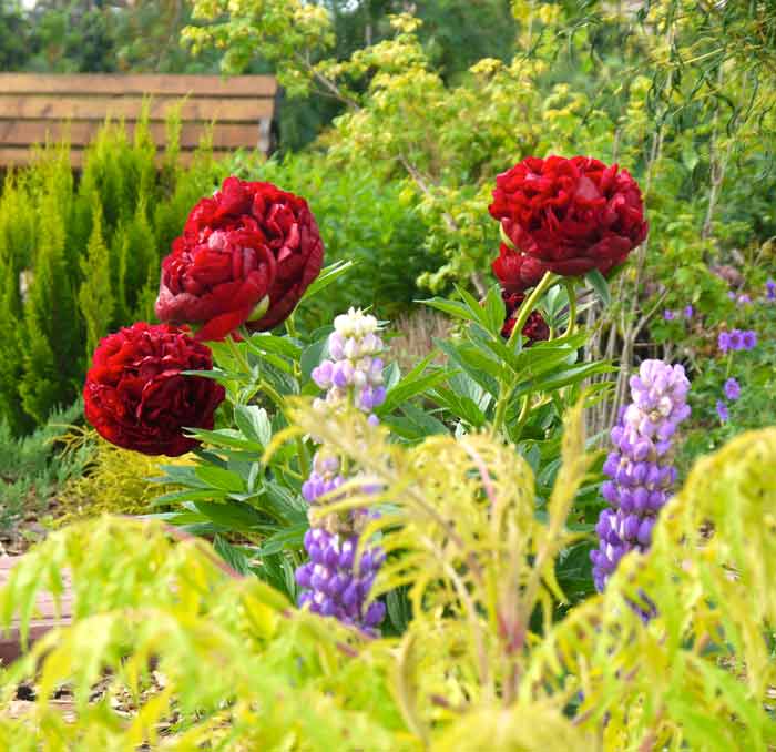 Украшения для сада своими руками — яркие, стильные и красивые варианты оформления сада (140 фото)