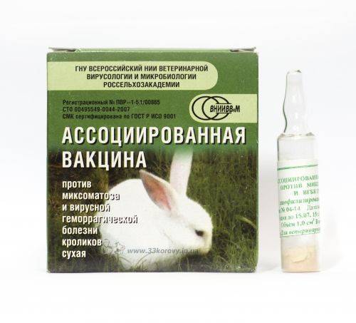 Прививки кроликам: график вакцинации, дозировки, схема по возрасту