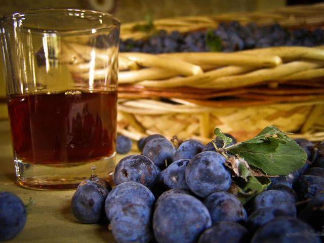 Простой и универсальный рецепт приготовления вина из слив в домашних условиях