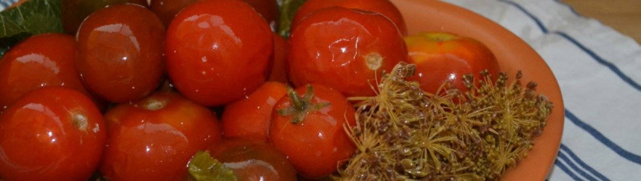 Малосольные помидоры с чесноком и зеленью — рецепты в пакете