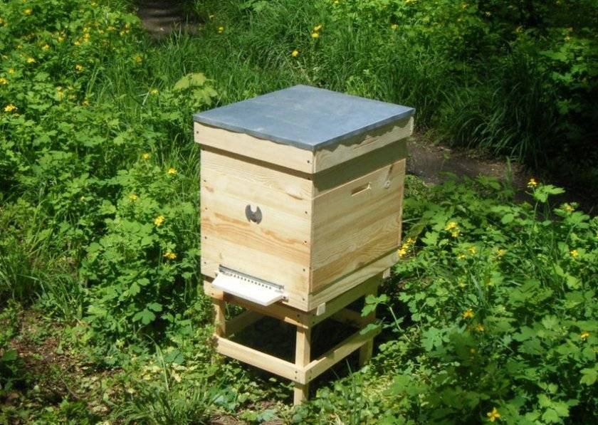 Ловушки для пчел