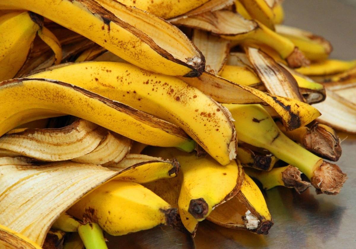 Удобрение из банановой кожуры для комнатных растений