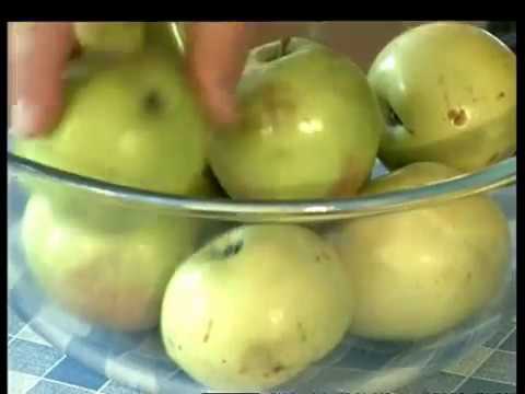 Чем полезны моченые яблоки, как приготовить их на зиму