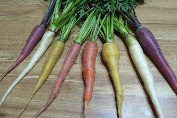 Многоцветная история моркови
