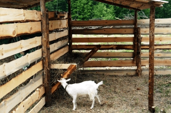 Как сделать кормушку для коз своими руками