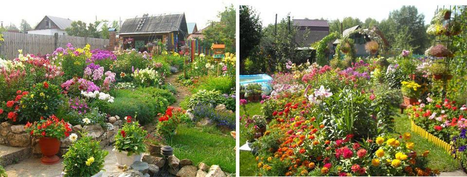 10 садовых хитростей для продвинутых дачников