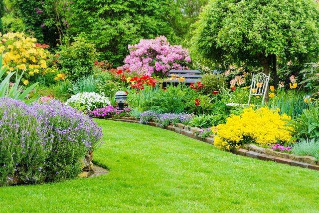 Заморозки и сад весной: защита растений во время цветения