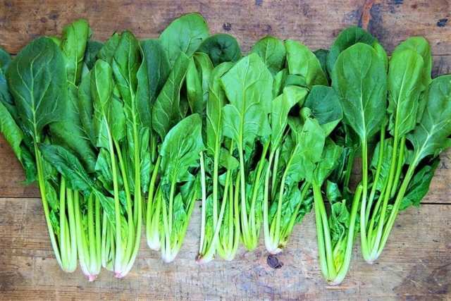 Чем полезен шпинат и как его вырастить