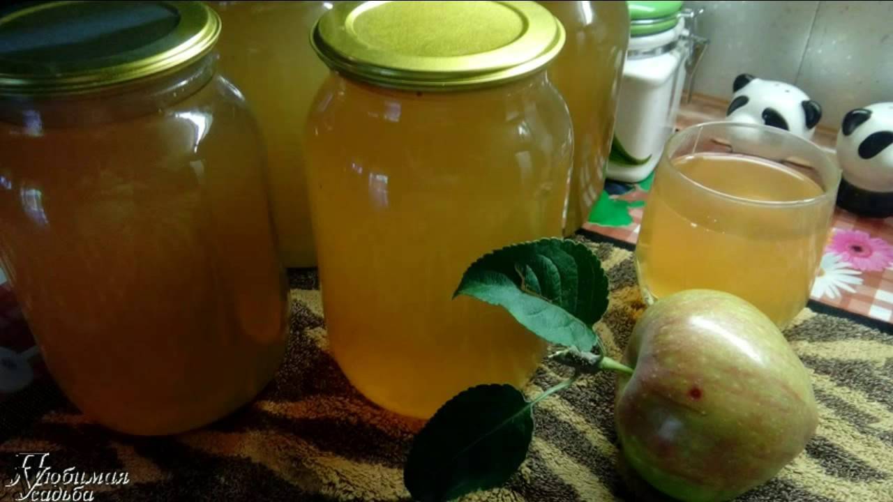 Как приготовить яблочный сок на зиму без стерилизации