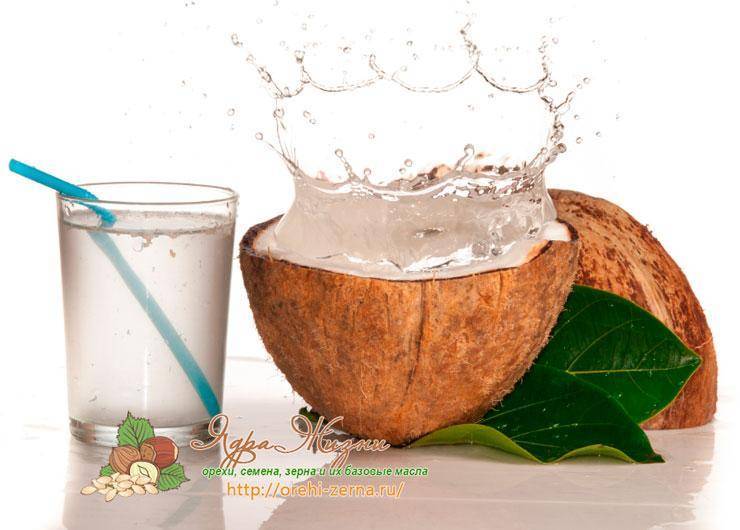 Кокосовая вода (сок): полезные свойства и рецепты