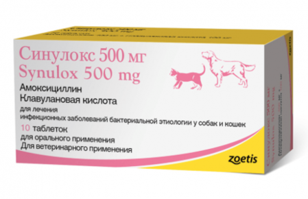 Инструкция по применению энроксила – таблеток со вкусом мяса на основе энрофлоксацина – в ветеринарии для лечения кошек