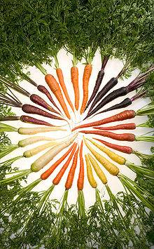Что такое фиолетовая морковь и ее сорта?