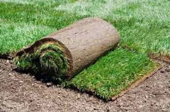 Укладка рулонного газона и уход за травяным покрытием