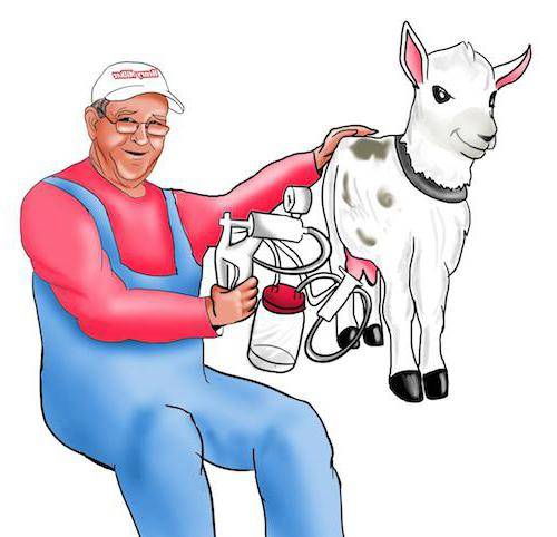 Как выбрать доильный аппарат для коз и правильно его использовать