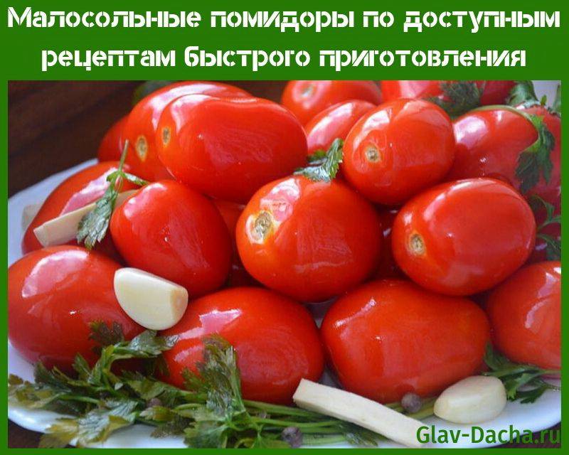 Малосольные помидоры по доступным рецептам быстрого приготовления