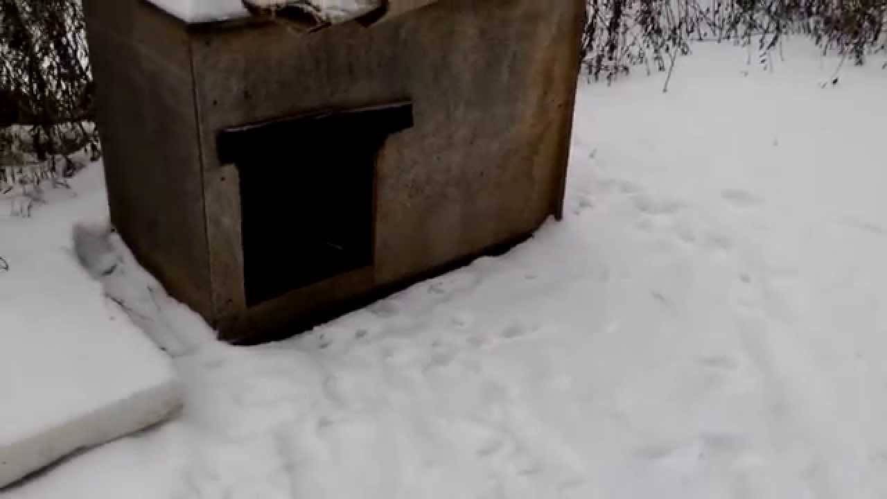 Как и чем утеплить будку для собаки на зиму: материалы, инструменты и краткая инструкция