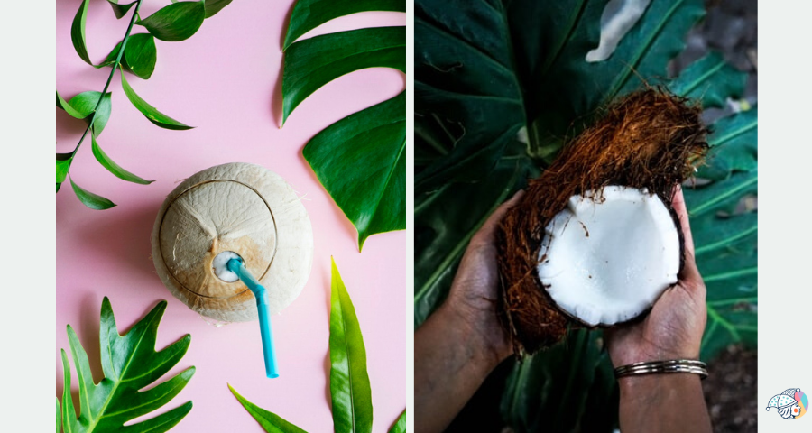 В чем польза кокоса? 9 главных полезных свойств (+4 рецепта)