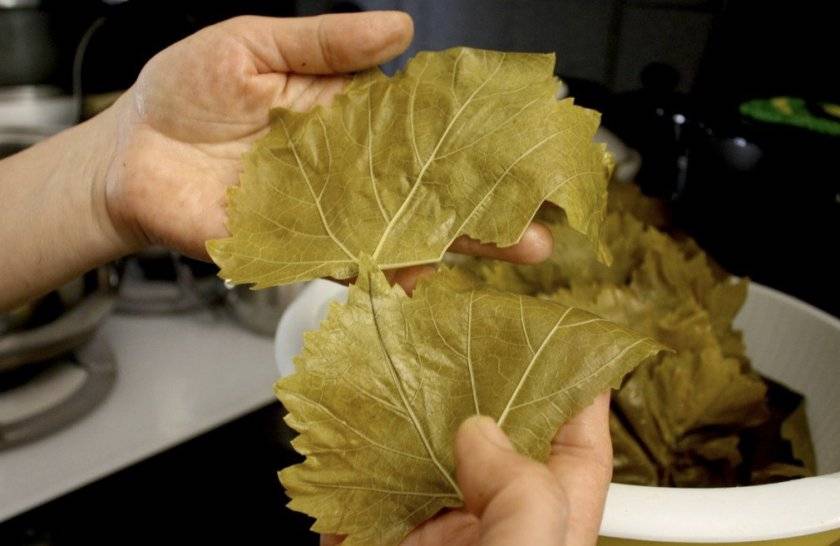 Топ 7 способов, как можно сохранить на зиму виноградные листья для долмы