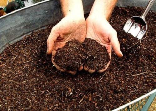 Бактерии для переработки опилок в перегной. опилки для огорода: польза и вред их как удобрения. простой способ приготовления компоста