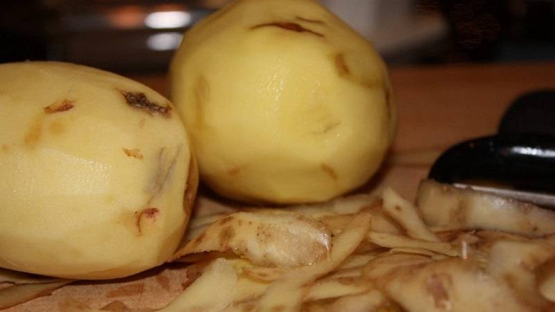 Болезни картофеля: фузариоз, фомоз, меланоз, кольцевая гниль