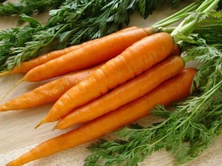 Морковь. польза и вред оранжевого овощефрукта