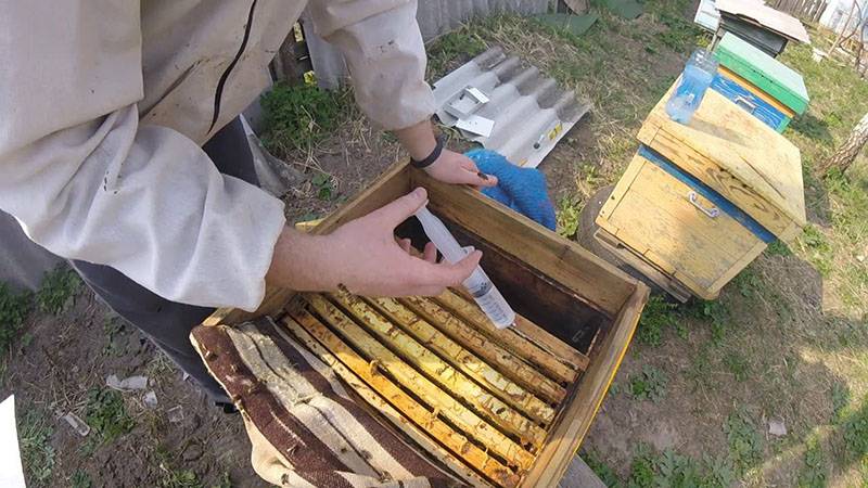 Обработка пчел дым-пушкой бипином с керосином
