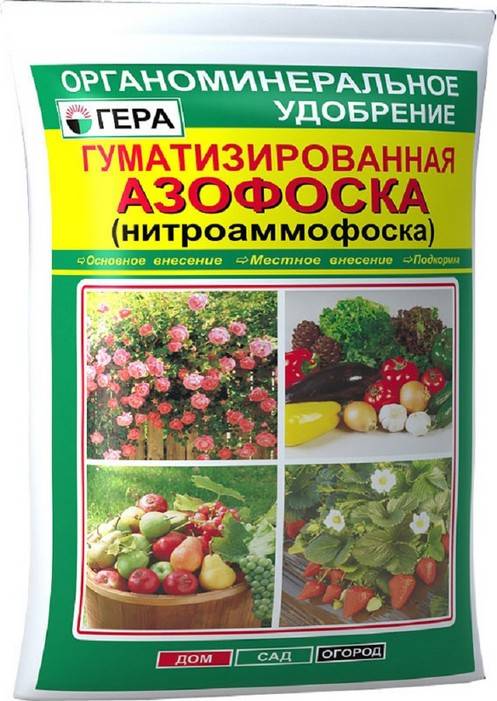 Нитрофоска удобрение: применение для томатов, виды составов