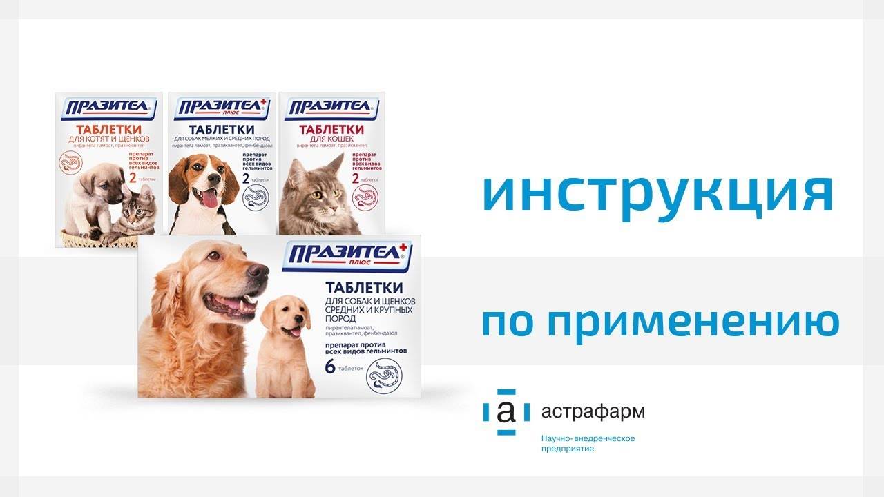 Фоспренил: иммуностимулятор и противовирусный препарат для кошек