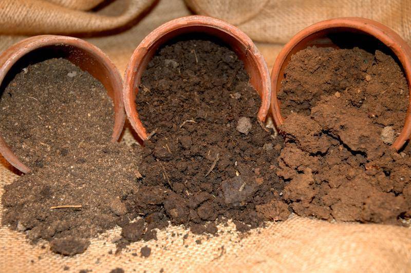 Качественный состав гумуса почв разных типов. ведущий фактор плодородия разных типов почвы — гумус