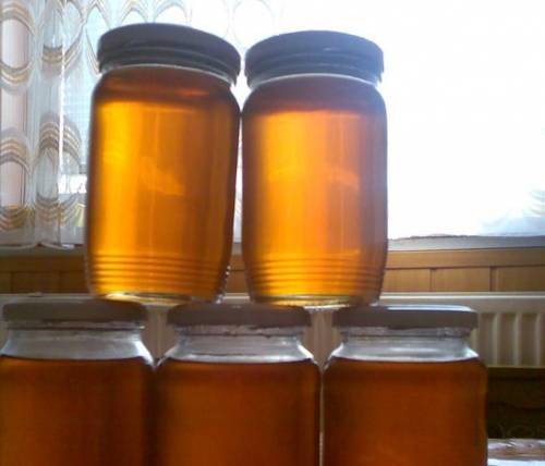 Как сделать мед из одуванчиков: 7 рецептов