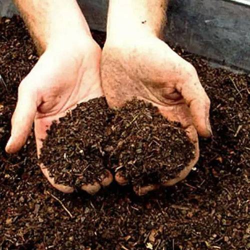 Как правильно сделать хороший компост своими руками — советы экспертов