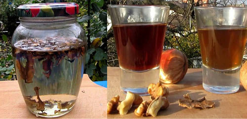 Как сделать настойку из перегородок грецких орехов на водке? в чём польза напитка, как принимать?