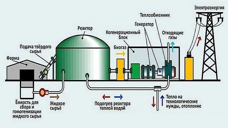 Делаем установку для биогаза из навоза своими руками