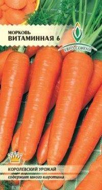 Морковь: подготовка к высадке и способы культивирования
