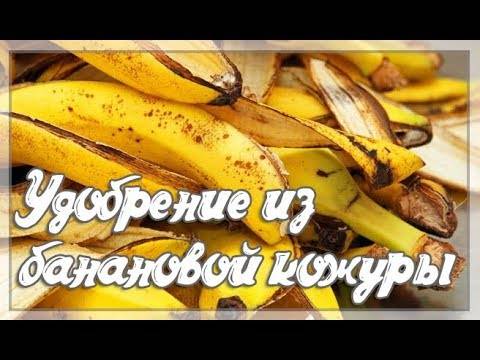 Как приготовить удобрение из банановой кожуры