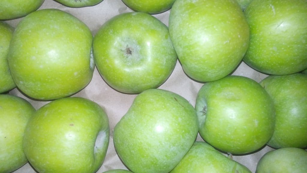 Урожайность яблок с 1 га. выращивание яблок как бизнес