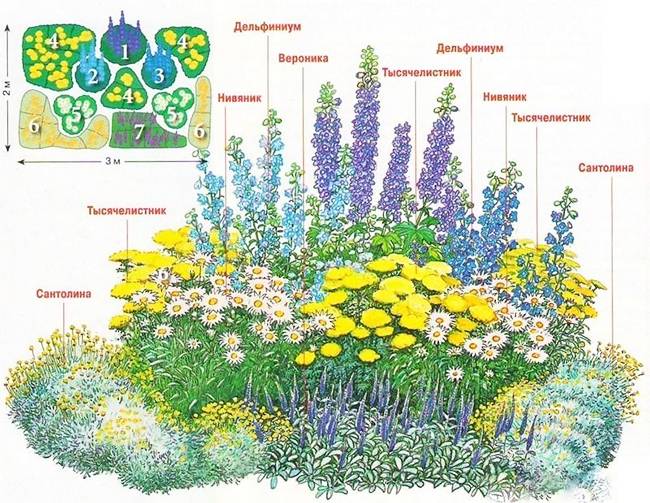 Как правильно сочетать растения на клумбе по цветам