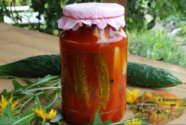Баклажаны в томате острые быстрого приготовления. баклажаны в томатном соке на зиму без стерилизации