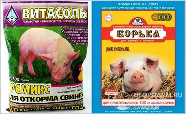 Все что нужно знать о комбикорме для свиней