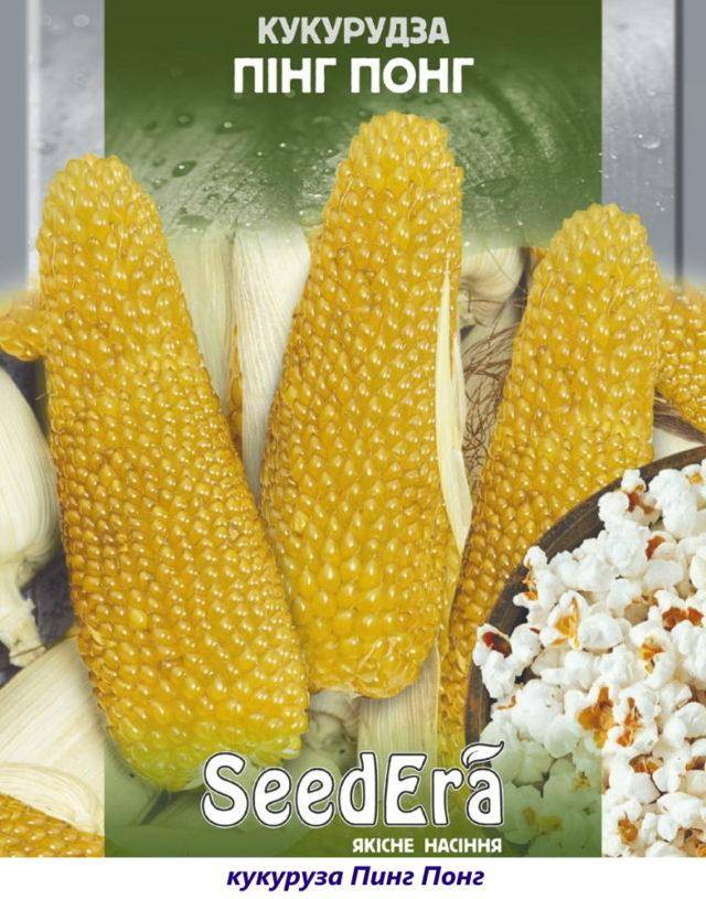 Названия сортов кукурузы для попкорна, их выращивание и хранение