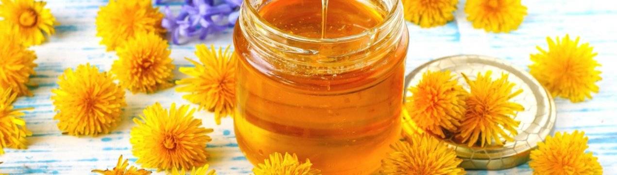 Мед из одуванчиков – польза и вред