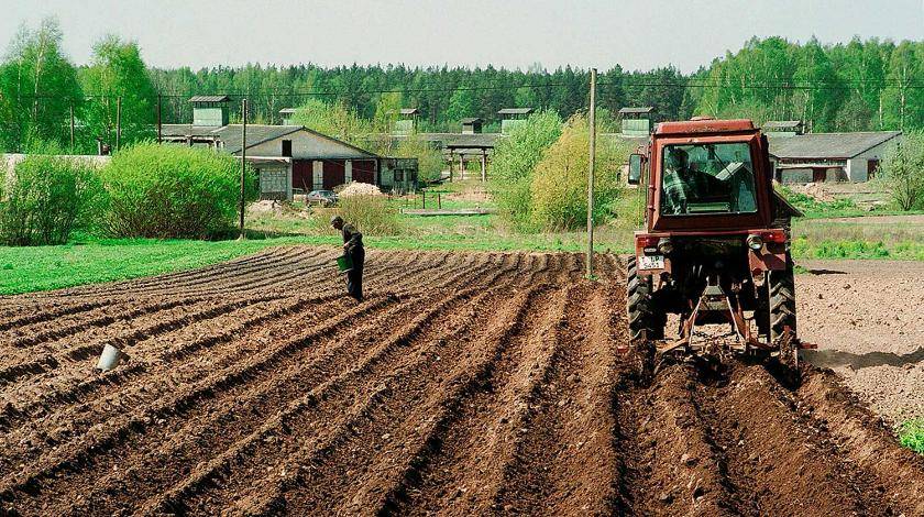 Посадка и выращивание картофеля по новым технологиям