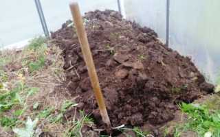 Подготовка теплицы к зиме — осенняя обработка почвы