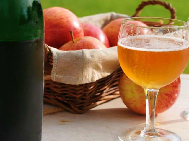 Вино из яблок — простые рецепты яблочного вина в домашних условиях