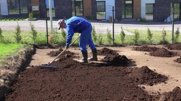 Как сделать газон на заросшем участке: подготовить почву, засеять, ухаживать за ним