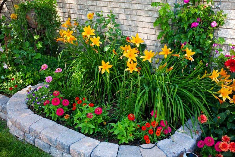 35 дел в саду, огороде и цветнике, которые нужно сделать в мае жителям центрального региона