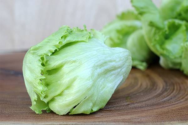 Всё о пользе и вреде салата латука для здоровья человека: рекомендации по употреблению и рецепты использования