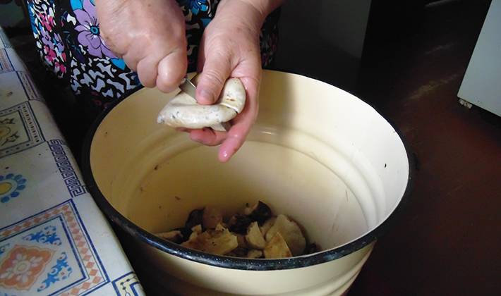 Соленые грузди — через сколько можно есть и как приготовить осиновые, мохнатые и тополевые грибы холодным способом