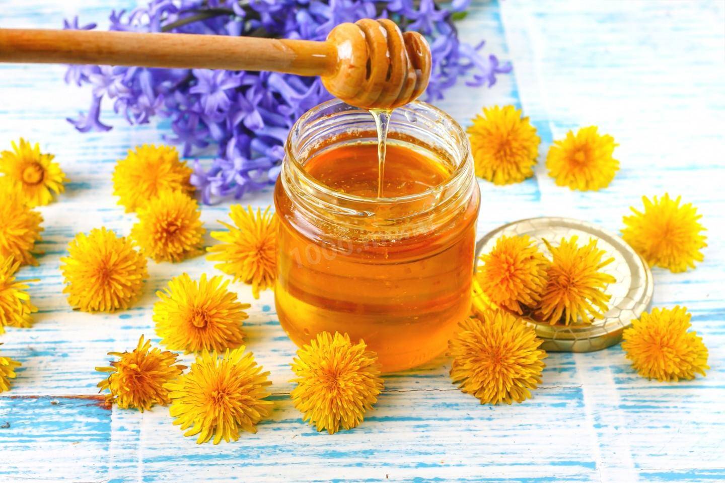 Как приготовить мед из соцветий одуванчиков?